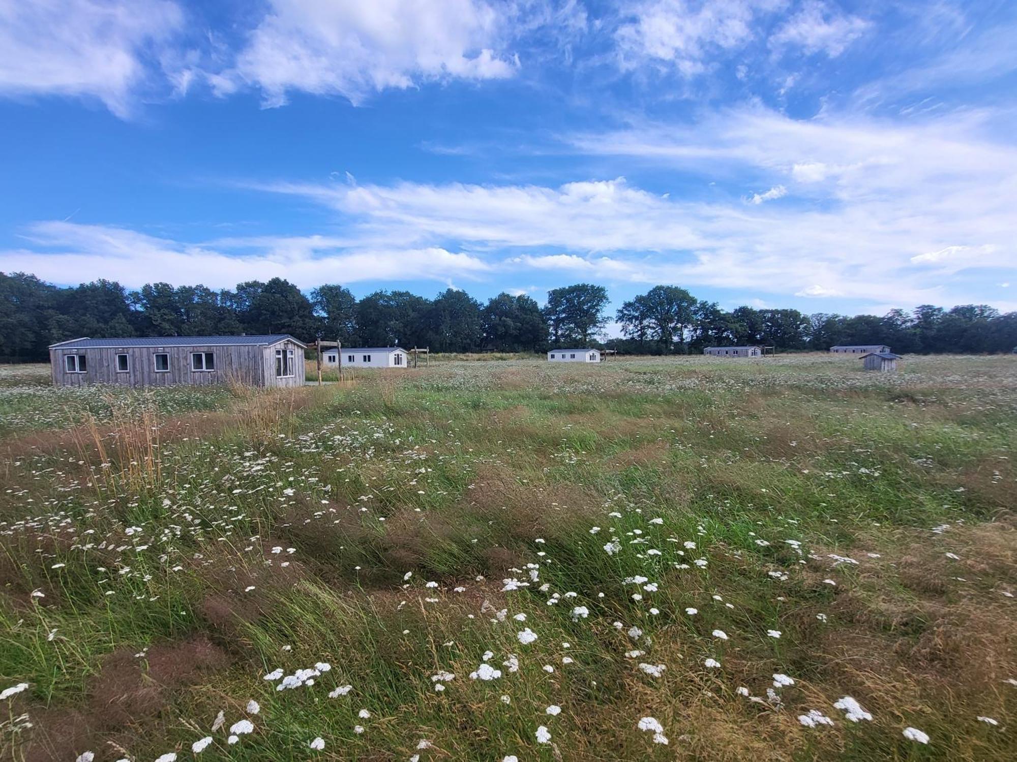 Hoeve Twente - De Buizerd Heythuysen Exterior foto